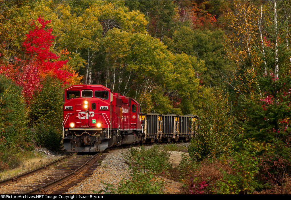 CP 6259